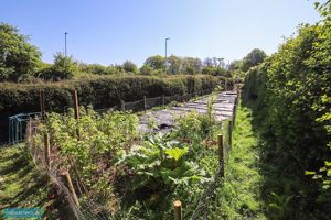 Garden- click for photo gallery